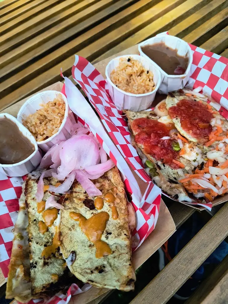 motor fire_The Mexican Garden at Moorswater Lodge_Liskeard_review