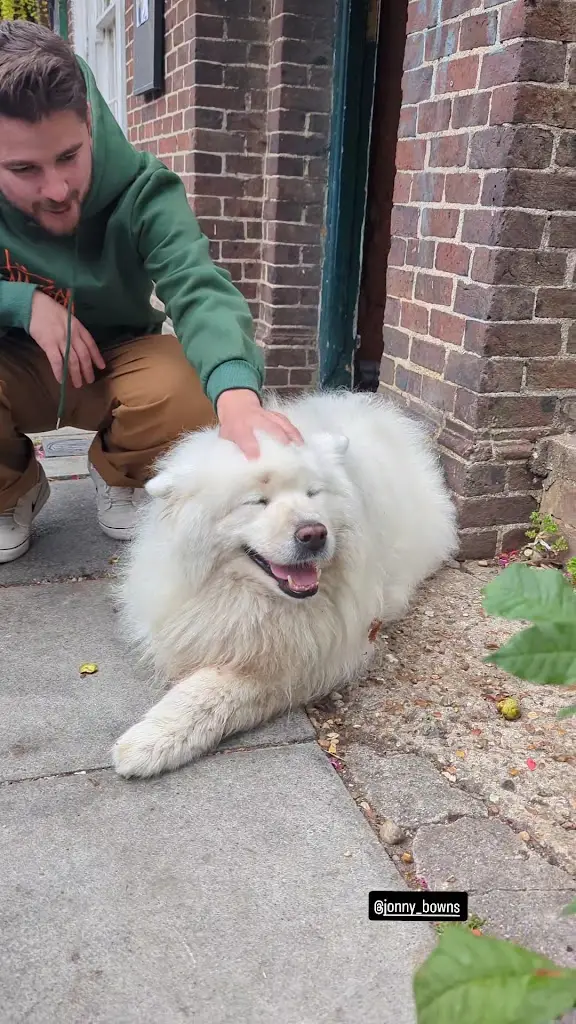 beth J_The Snowdrop Inn, Lewes_Lewes_review