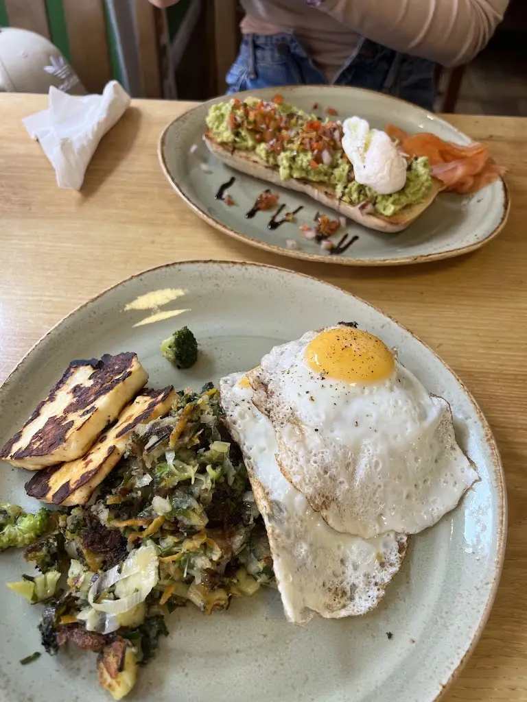 Vlad K_The patch_Lewes_review