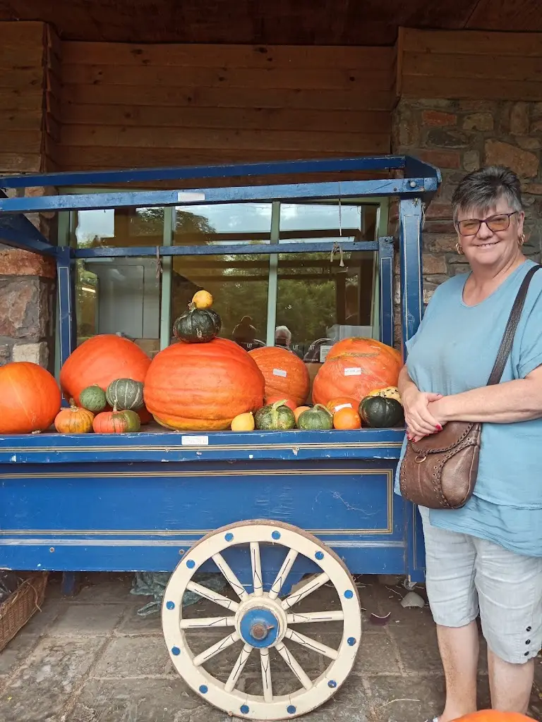 Rock Ape_The Greedy Goose Bristol_Long Ashton_review