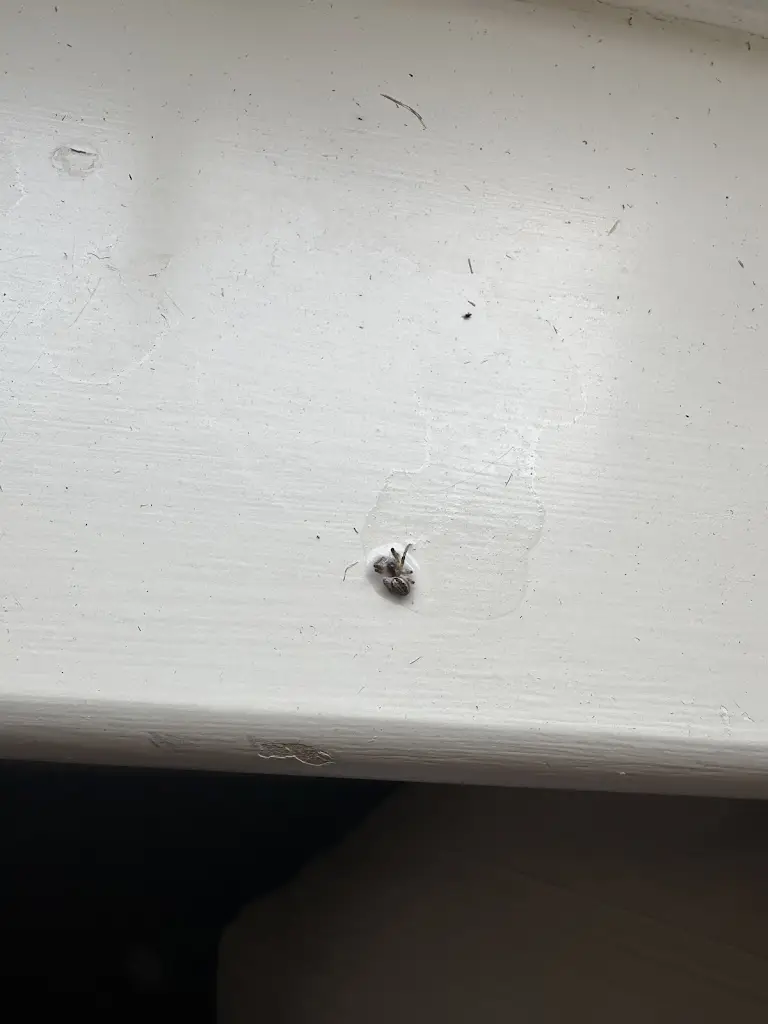 Samantha Sawkill_Premier Inn Ross-On-Wye hotel_Longhope_review