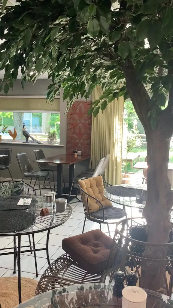 The Running Fox_Longhoughton_slider_image_2