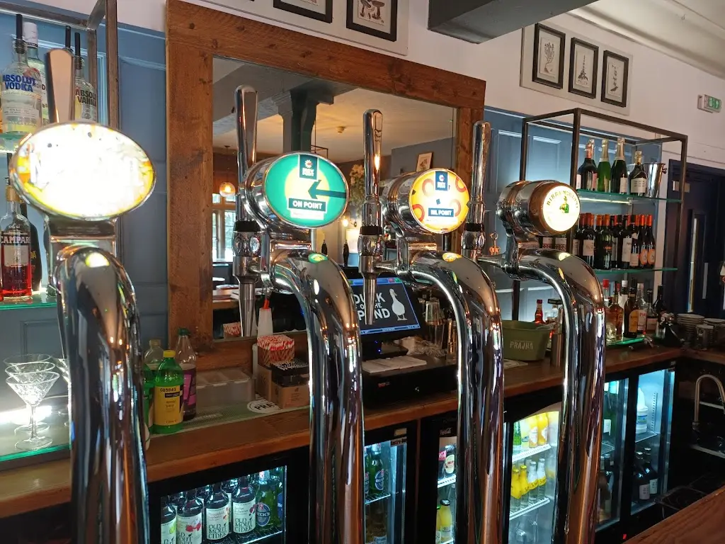 Duck on the Pond Long Itchington_Long Itchington_slider_image_2