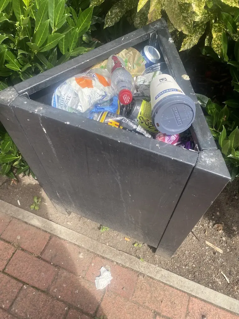 Rebecca Latham_Tappers Harker_Long Eaton_review