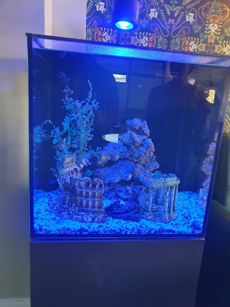 James OBrien_The Black Bull_Longstanton_review