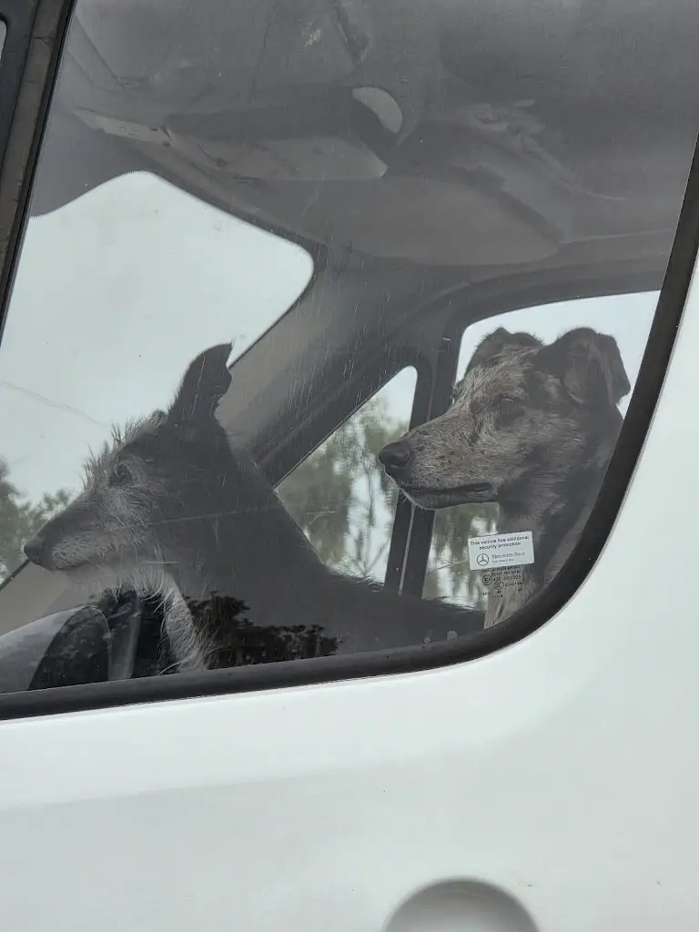 Meg Hackett_Del's Diner_Longtown_review