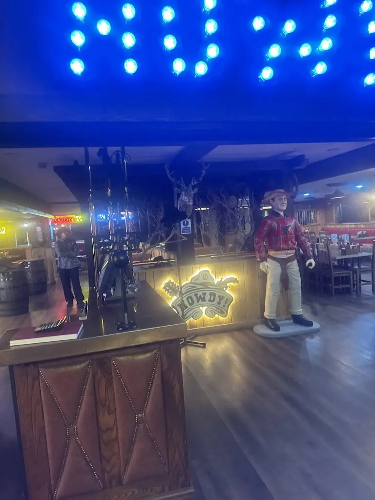 Tashfeen Amin_Howdy!_Longsight_review