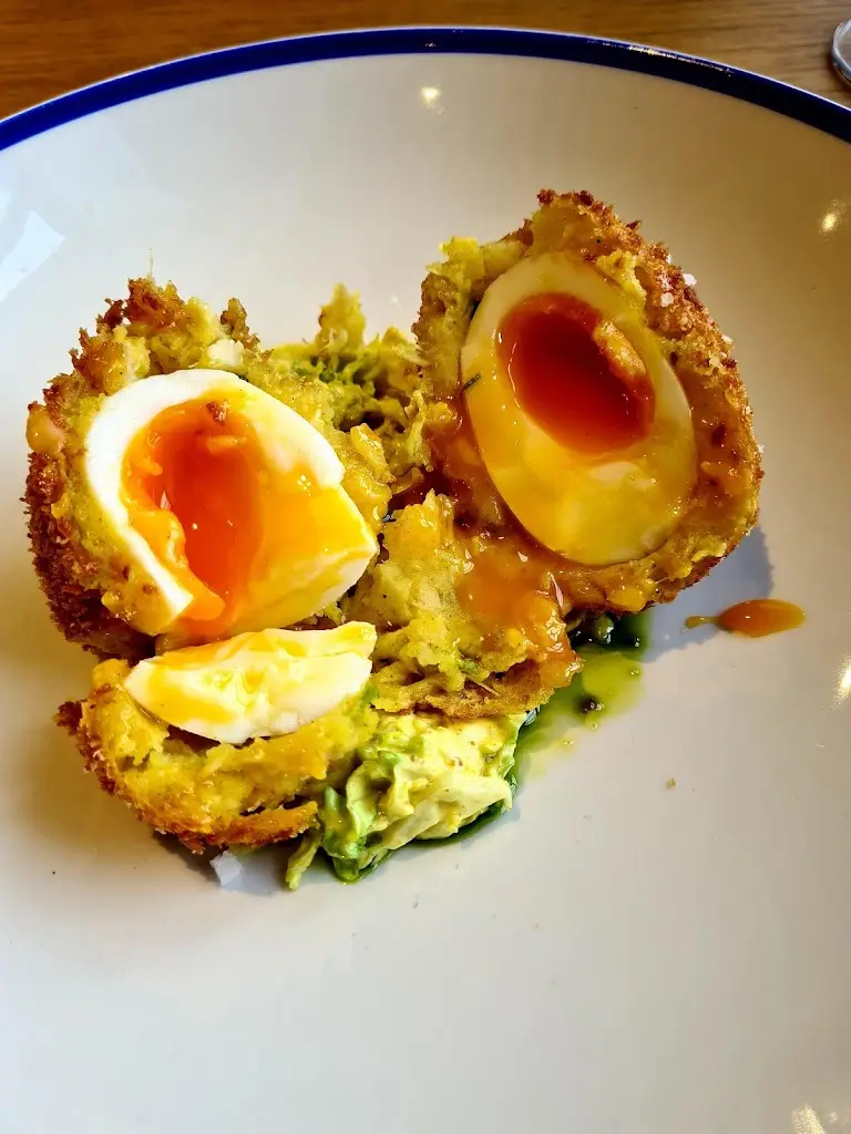 Menu_The Sardine Factory Looe_Looe_immagine_6