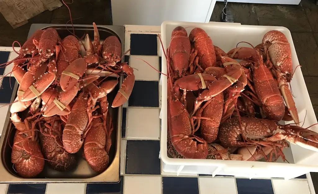 Menu_Sea Kitchen_Looe_image_9