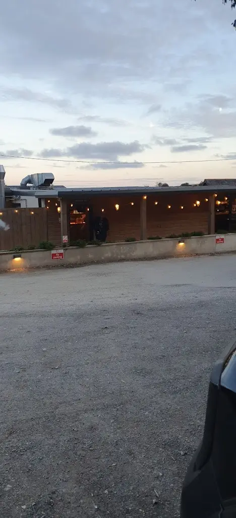 Bird Lady_The Coddy Shack_Looe_review