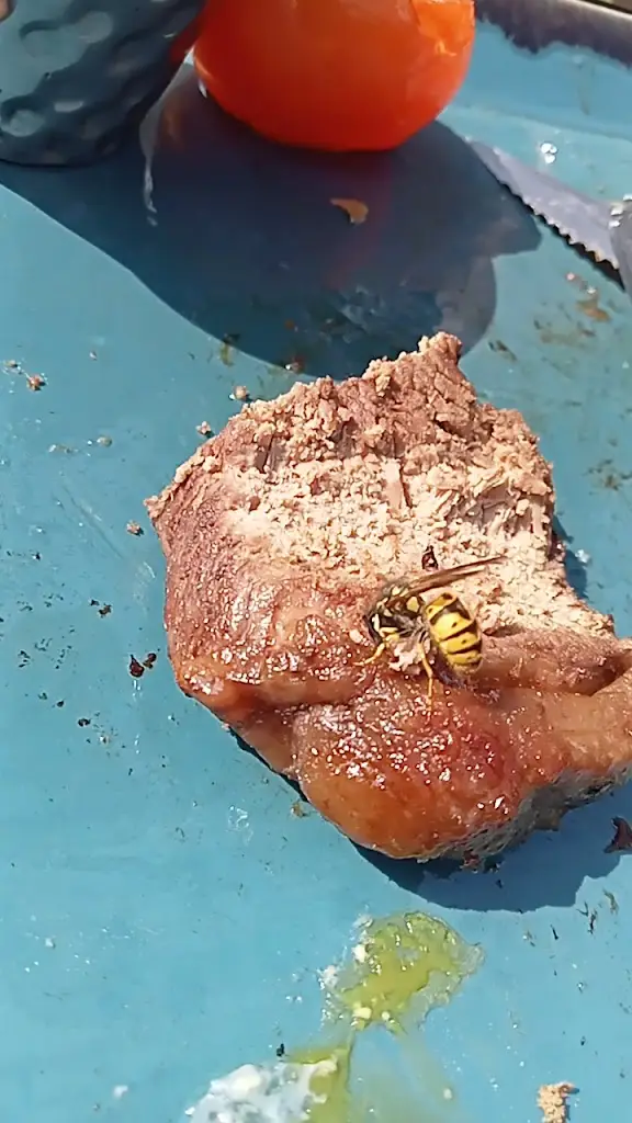 Harvester Potters Kiln Lowestoft_Lowestoft_slider_image_2