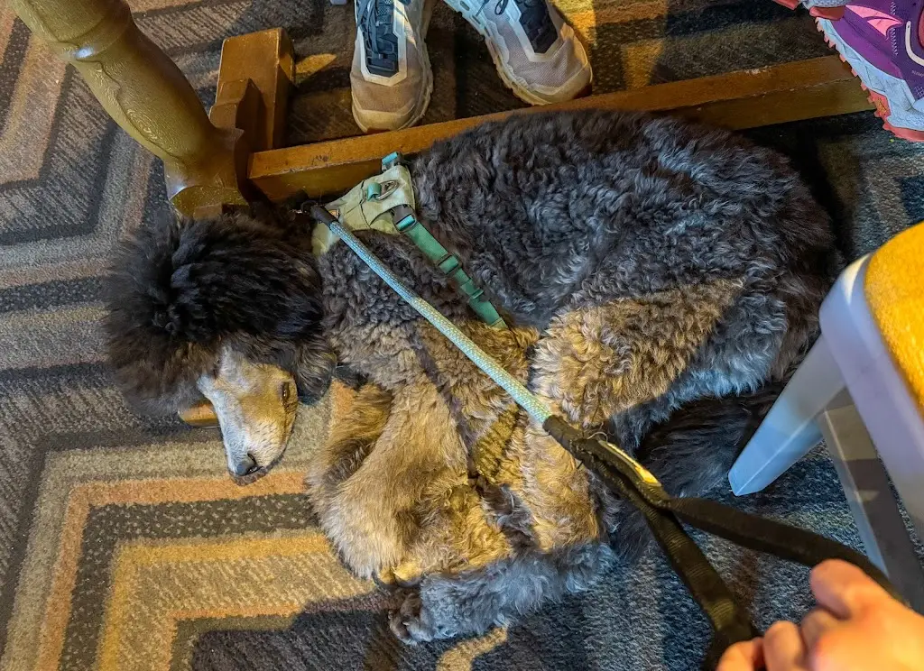 Matty_Spring Tide_Lowestoft_review