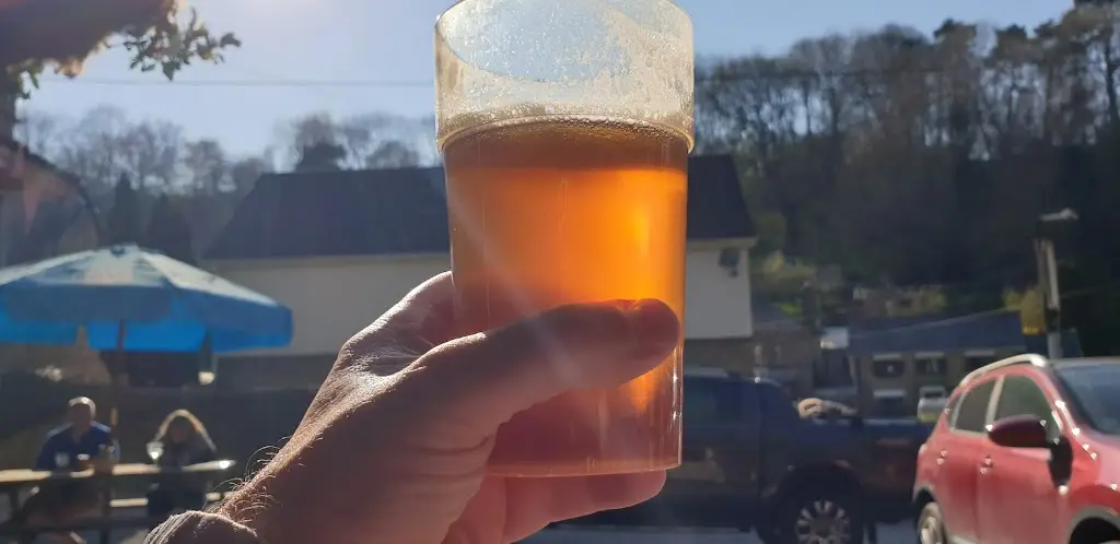 paul s_The Forge Hammer Inn_Lydbrook_review