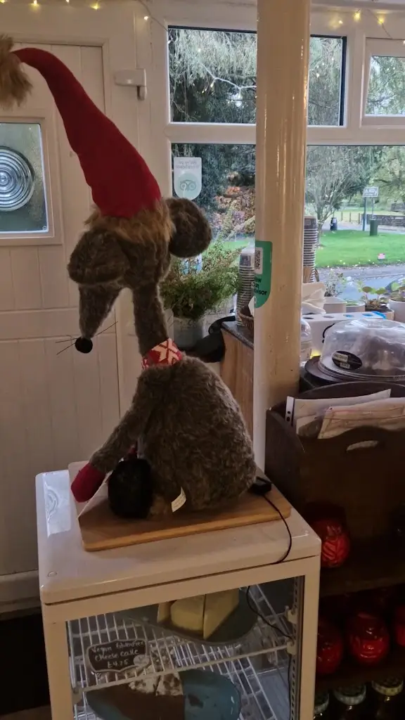 Daniel Lister_Cafe Vanille of Lydbrook_Lydbrook_recensione