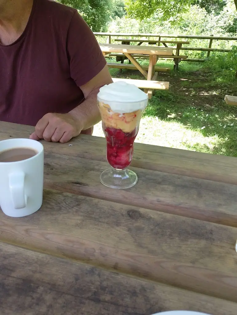 Menu_Royal Spring_Lydbrook_image_6