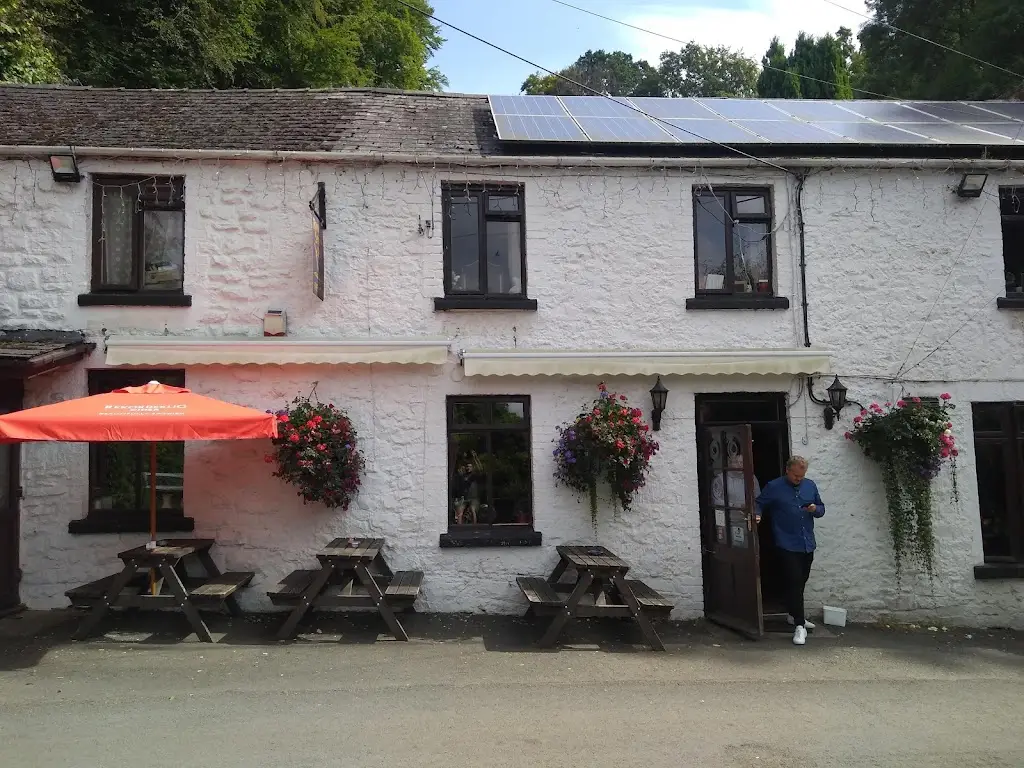 Royal Spring_Lydbrook_slider_image_2