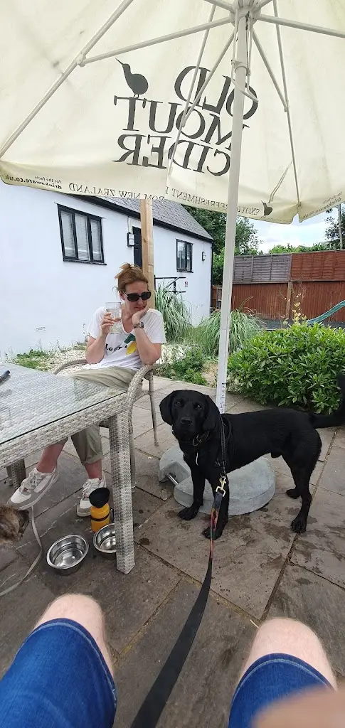 Christopher Abbott_The Blue Ball_Lower Kingswood_review