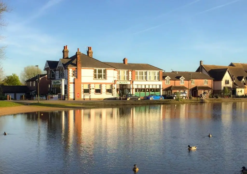 Spaghetti Tree_Lower Kingswood_slider_image_3