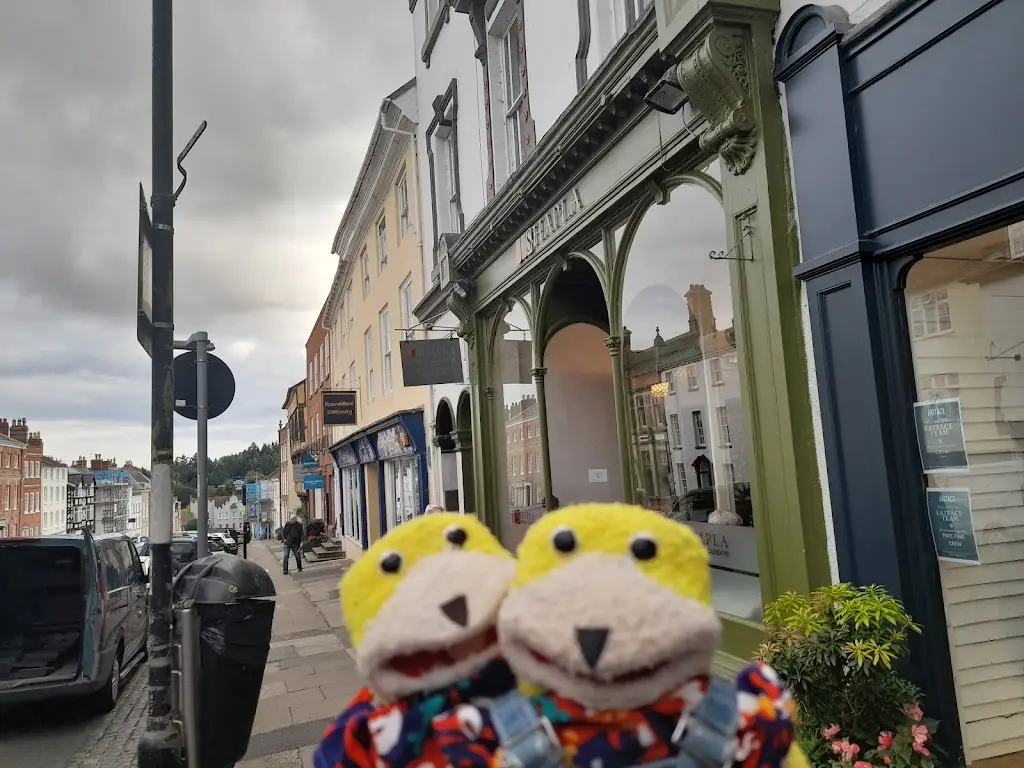 MADDOGLEP_Shapla_Ludlow_review