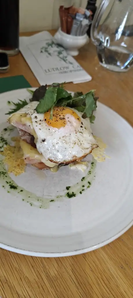 Tim Sutton_Chapter 66 Ludlow_Ludlow_review