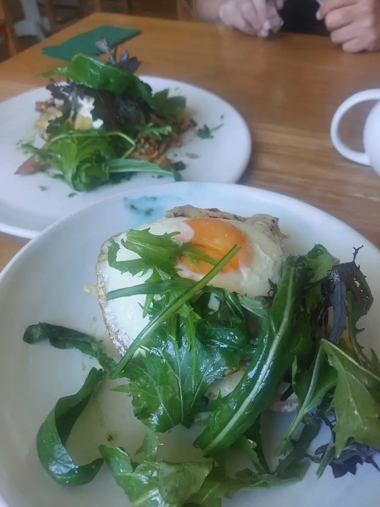 Beth Hill_Chapter 66 Ludlow_Ludlow_review