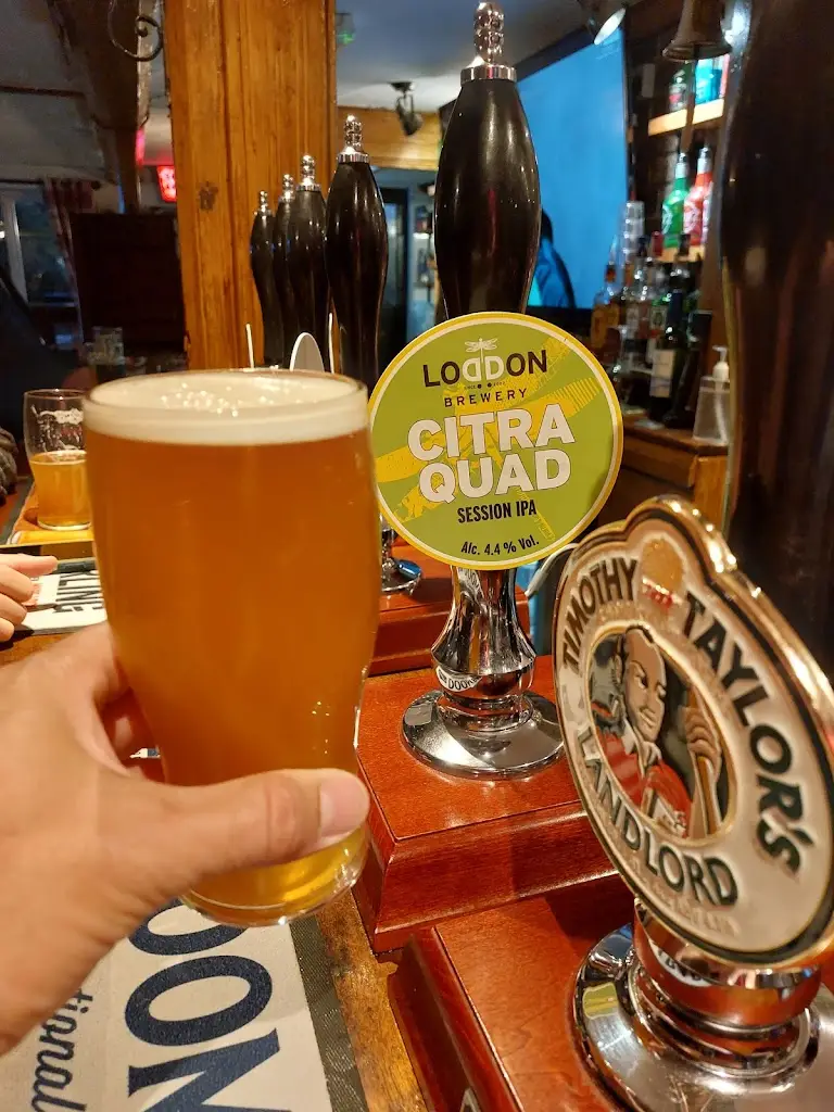 Menu_Dolphin Inn_Lydd_image_1