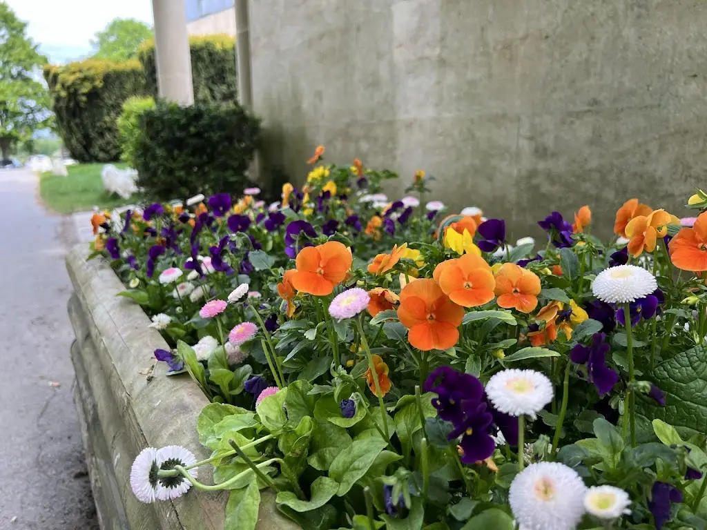 Chaitanya Patil_Lydiard Park_Lydiard Millicent_review