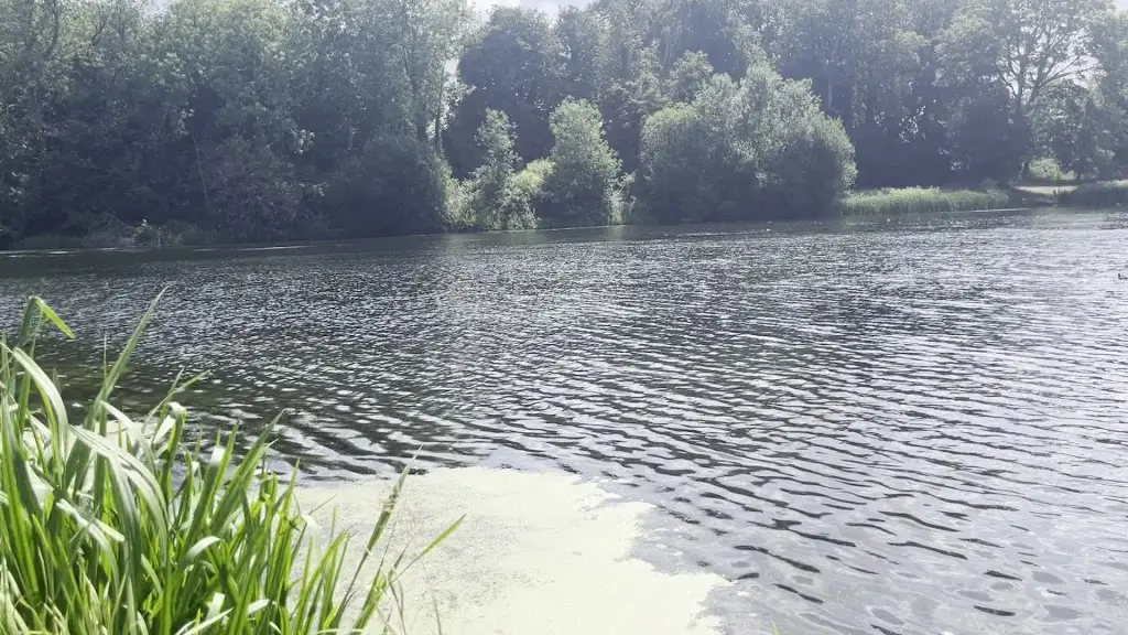 P_Addler_Lydiard Park_Lydiard Millicent_review