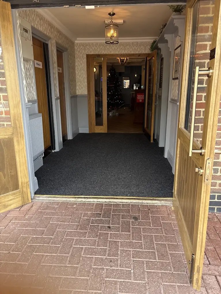 david Last_Woodlands Edge_Lydiard Millicent_review