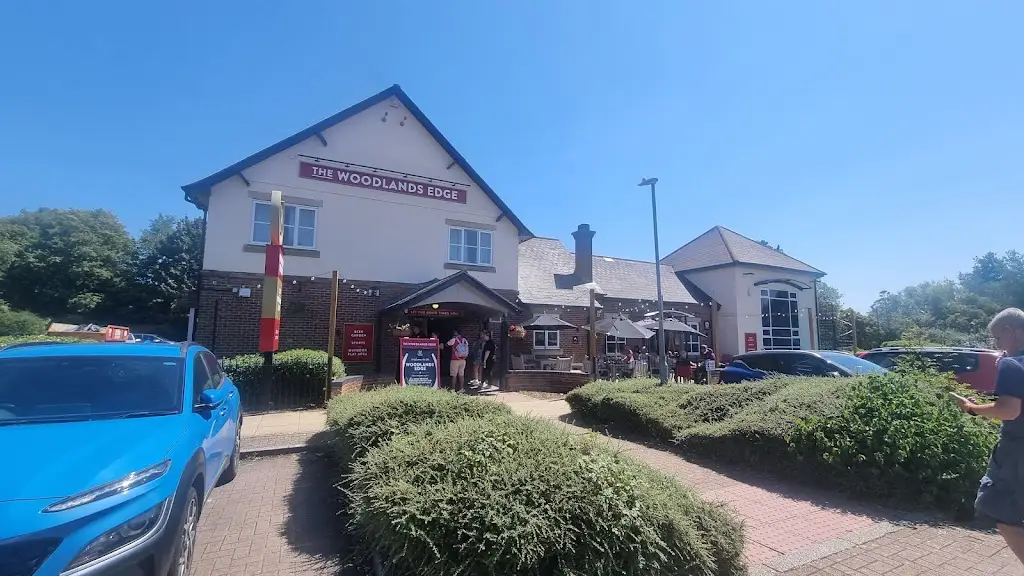 Jacqui Hammond_Woodlands Edge_Lydiard Millicent_review