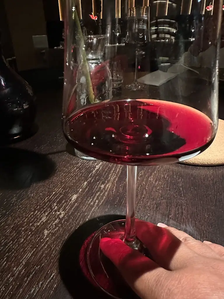 Elizabeth Gilroy_Deraliye_Barnet_recensione