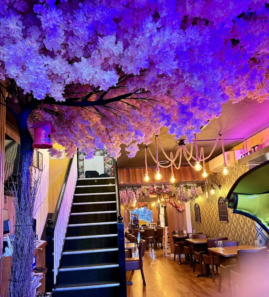 Arun Alex_Amazing India_Macclesfield_review