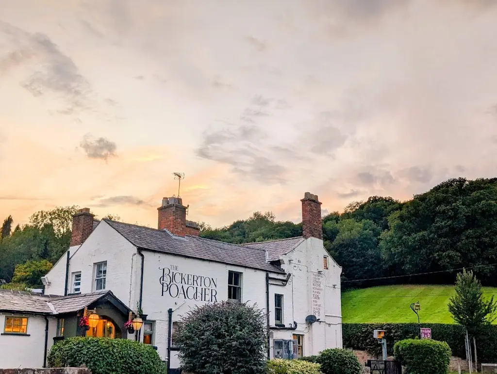 basabdatta ghosh_The Bickerton Poacher_Malpas_review