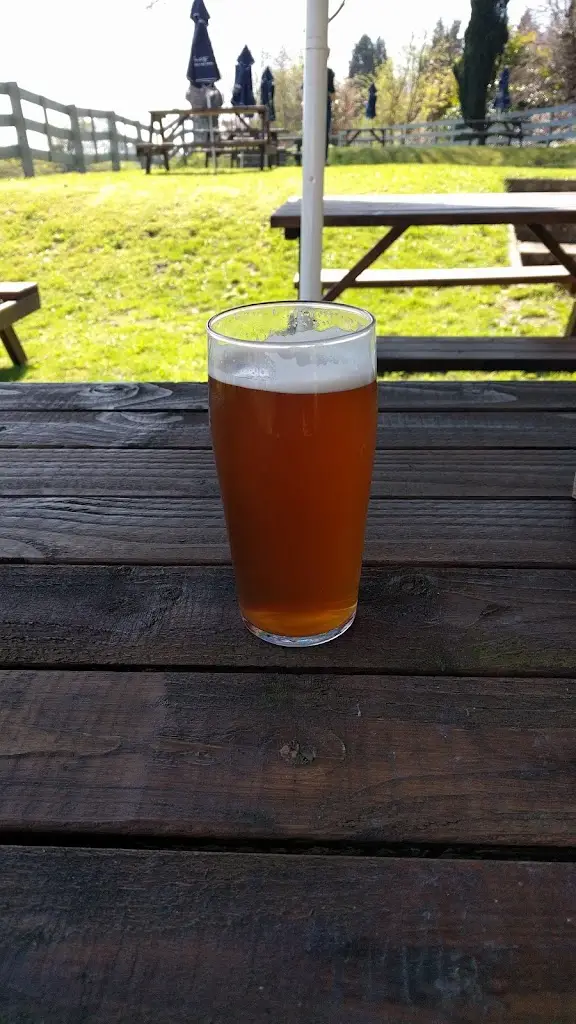 Menu_The Plough on the Hill_Aldbourne_image_6