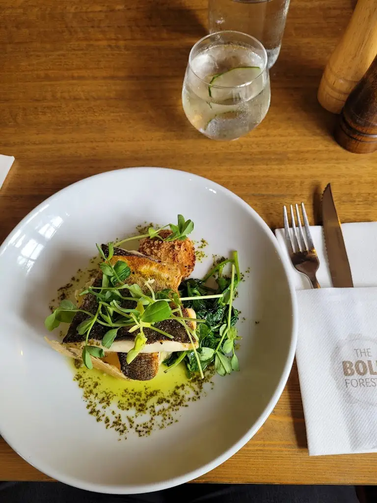 Menu_The Bold Forester_Marchwood_image_9