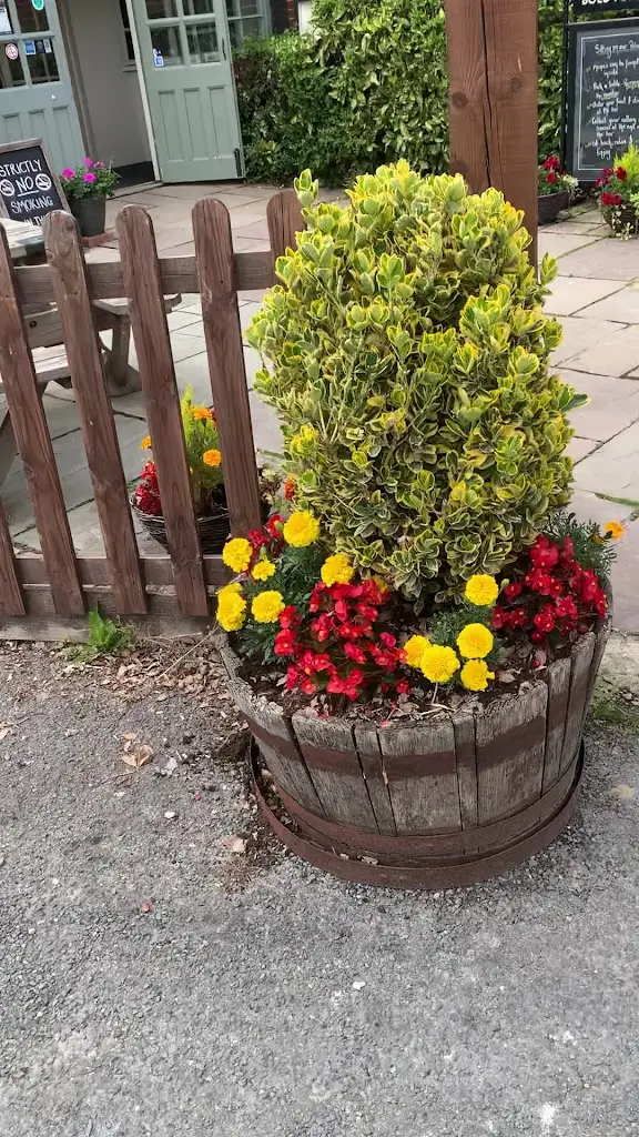 The Bold Forester_Marchwood_slider_image_2