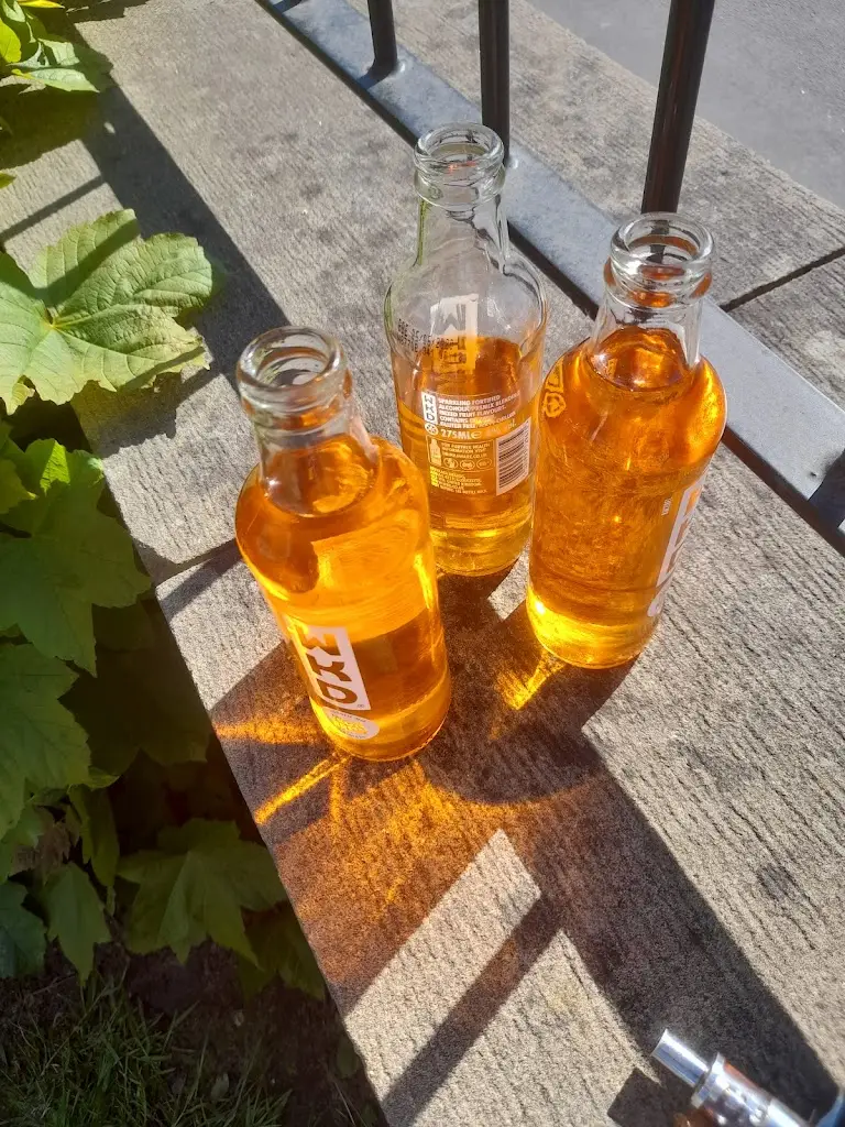 Menu_Coach & Horses_Maghull_immagine_4