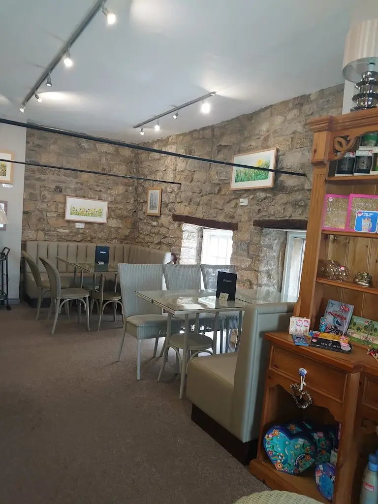 Rhiannon_Clarendon's_Barnard Castle_review