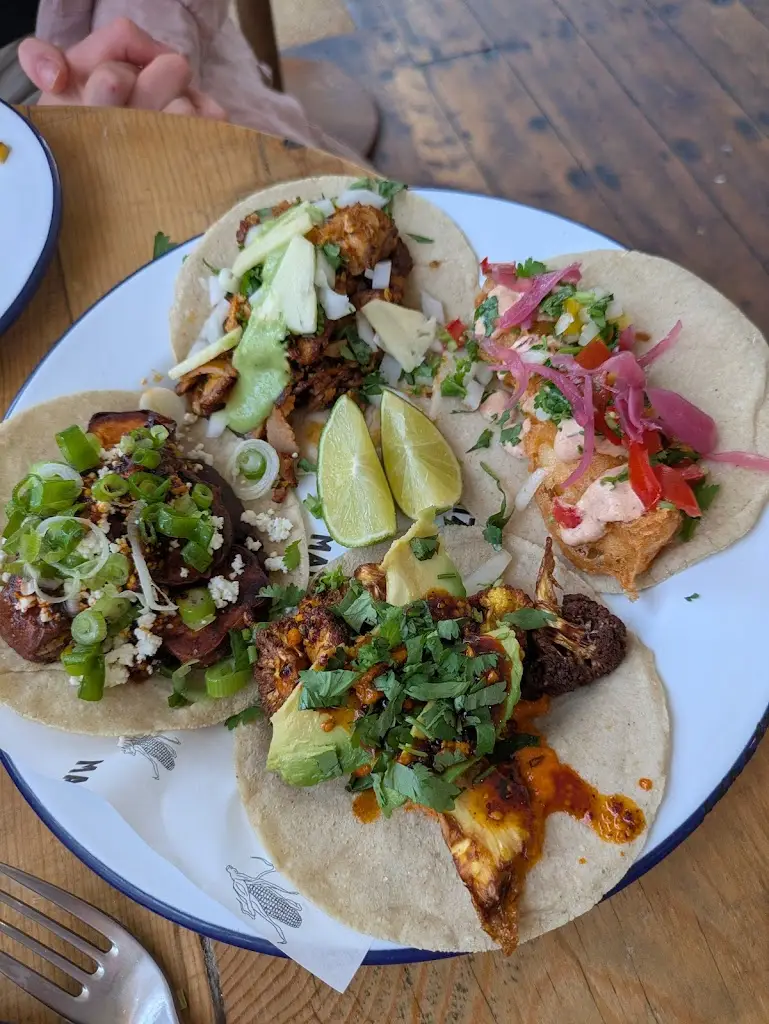 Tara T_Maiz_Manningtree_recensione