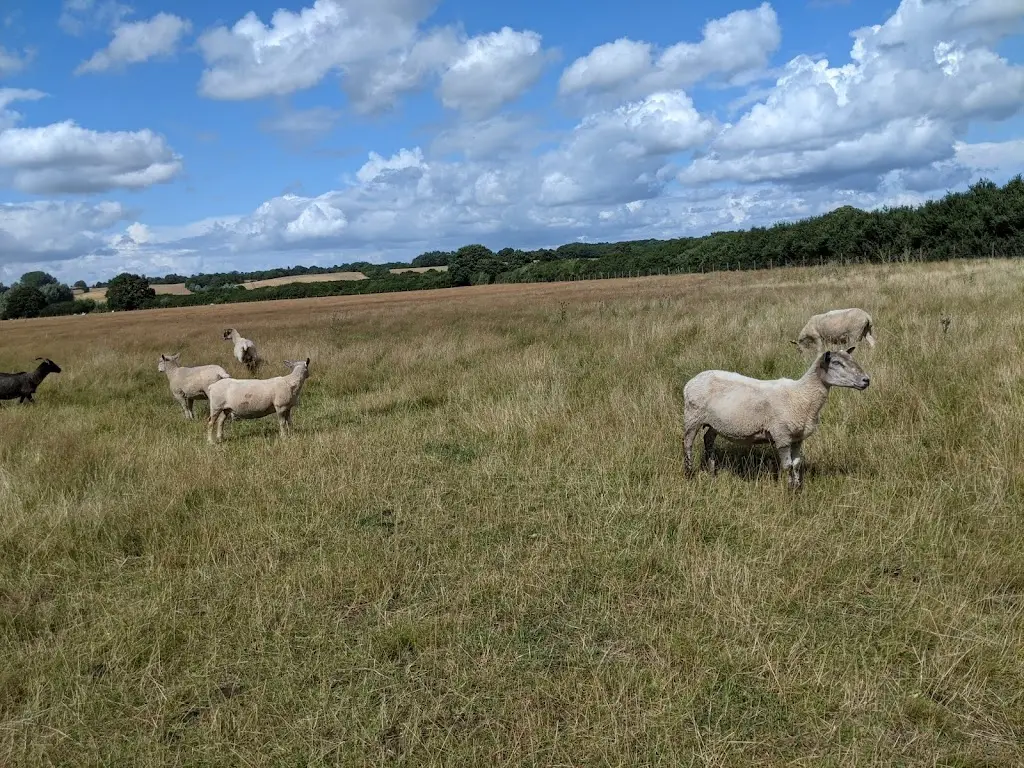 Dominique R_Manningtree Station Buffet_Manningtree_review