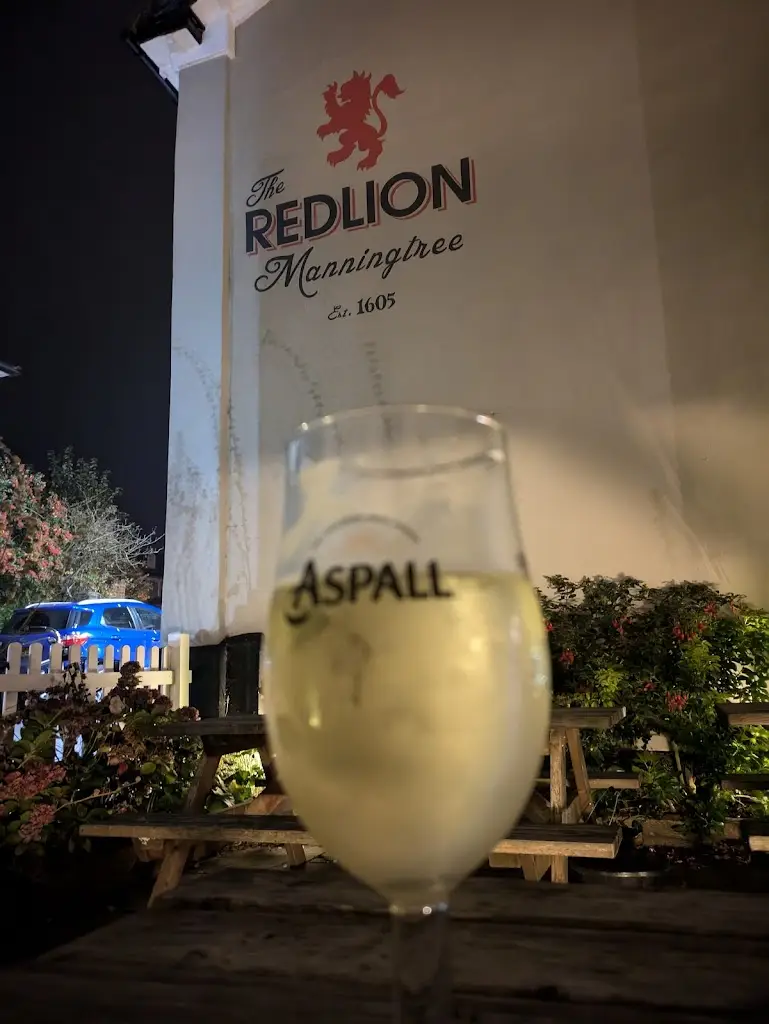 Debee Lee_The Red Lion_Manningtree_review