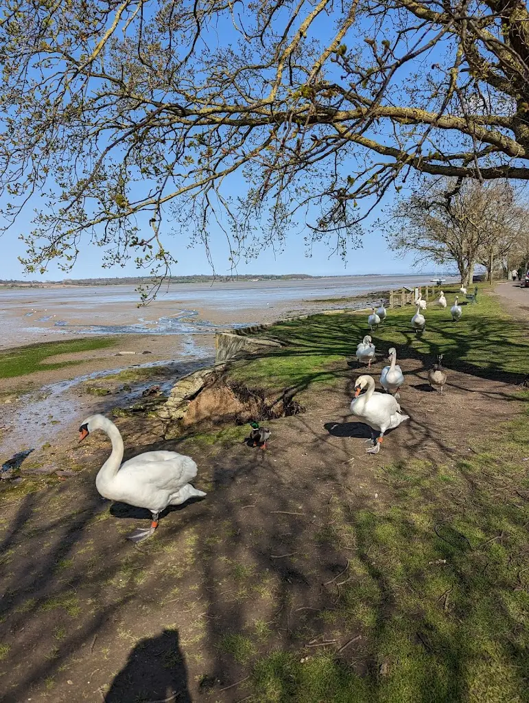 AL FRESCO Cuisine._Manningtree_slider_image_2