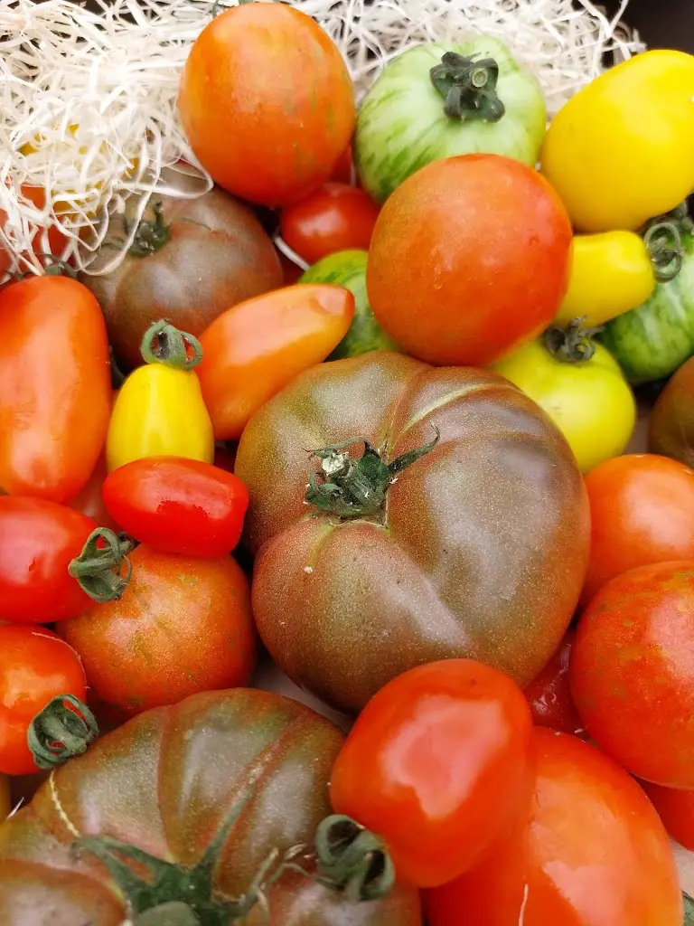 Menu_The Red Lion_Market Deeping_image_9