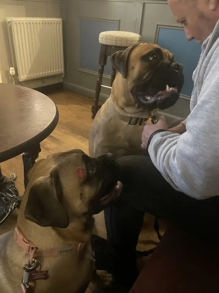 natasha moss_Bulls Head Inn_Markfield_review