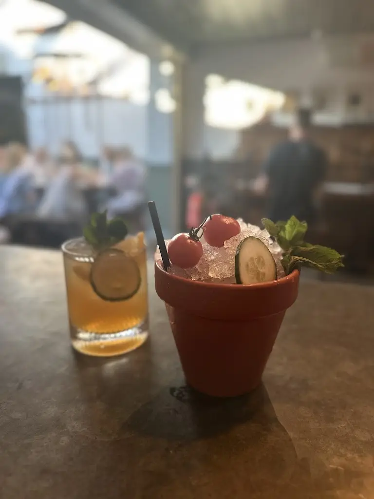 Mohammed Patel_The Botanist Marlow_Marlow_review