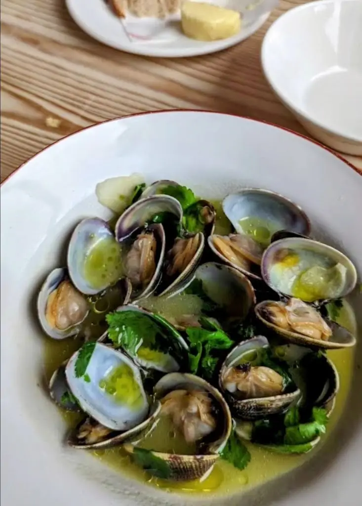 SARGASSO_Margate_slider_image_2