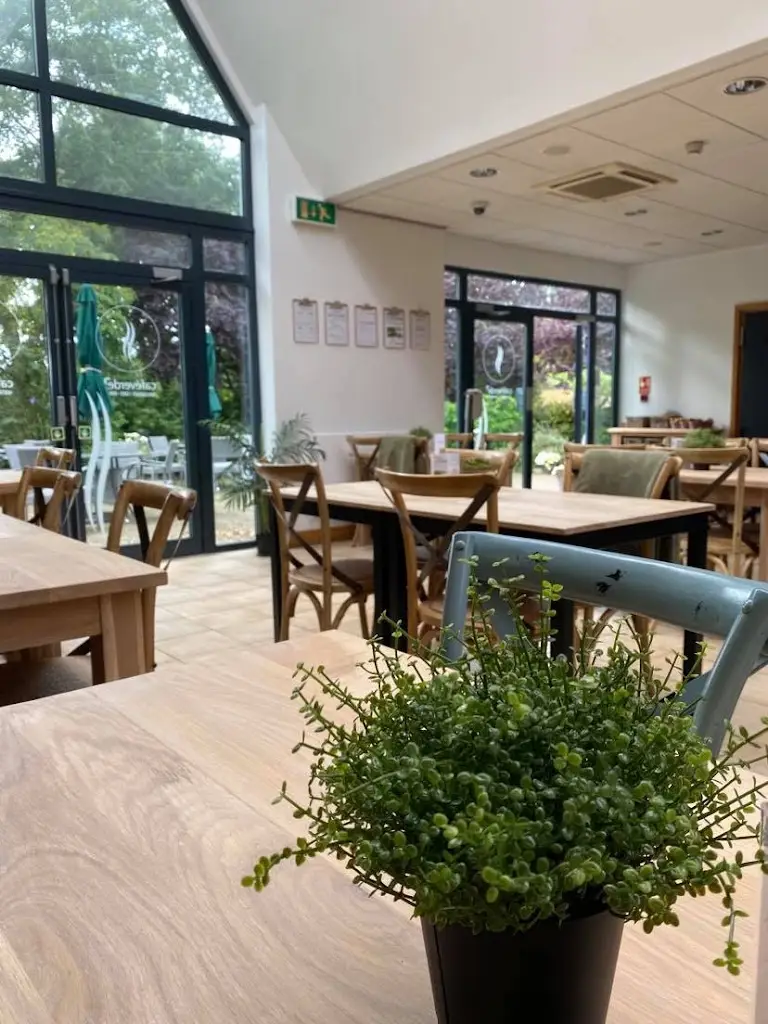 Cafe Verde restaurant in Mattishall