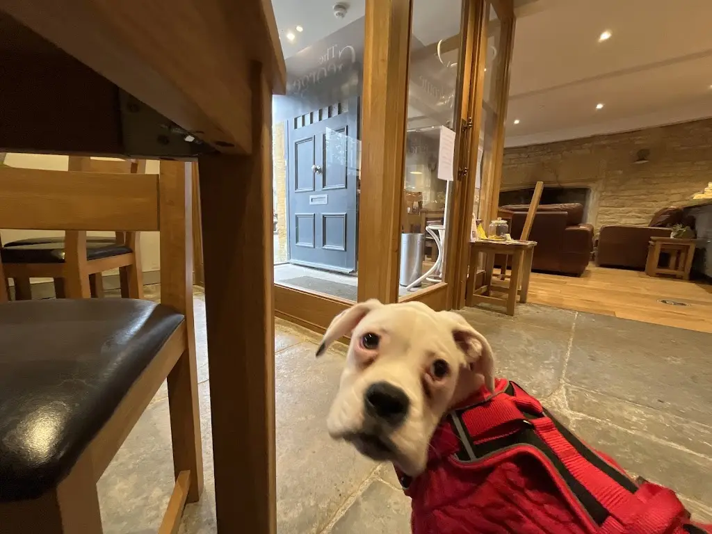 KAPZ GURU_The George_Martock_reseña