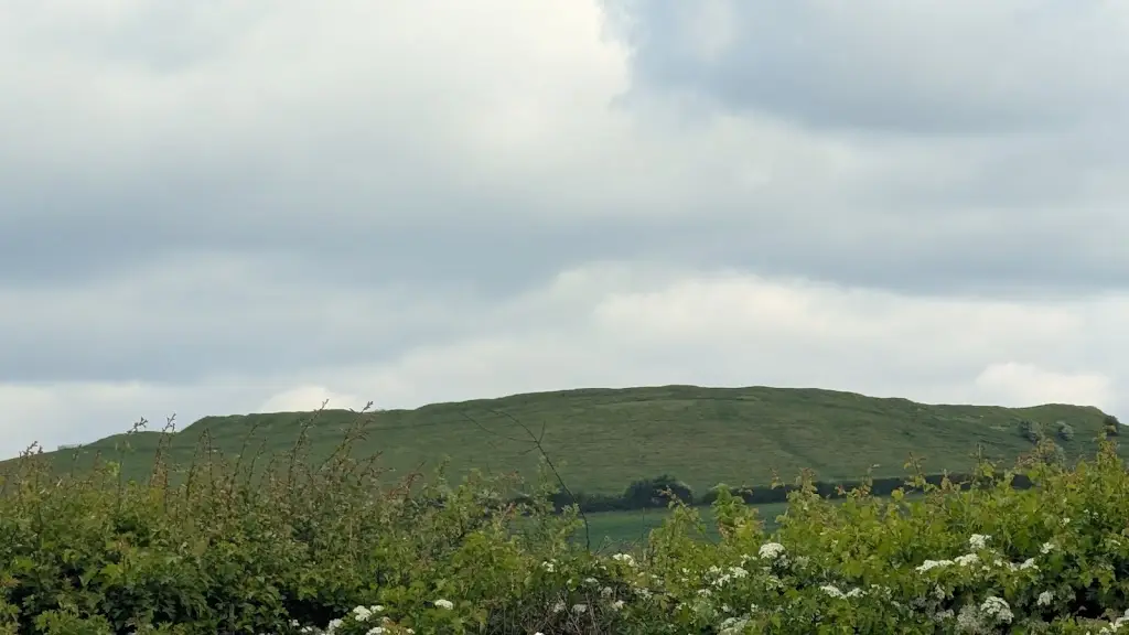 David Biggins_Three Trees Farm Shop & Cafe_Aldbourne_review