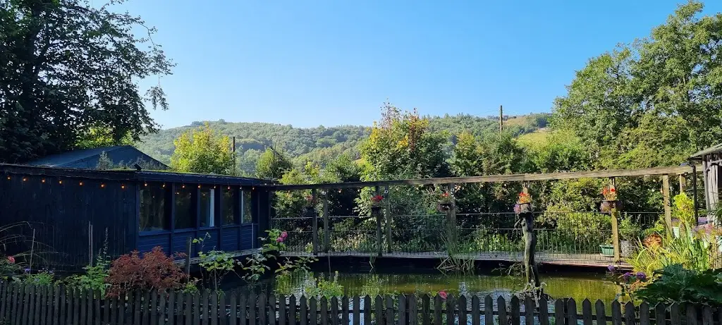 Dovrat Levy_Wild Cafe_Marsden_review